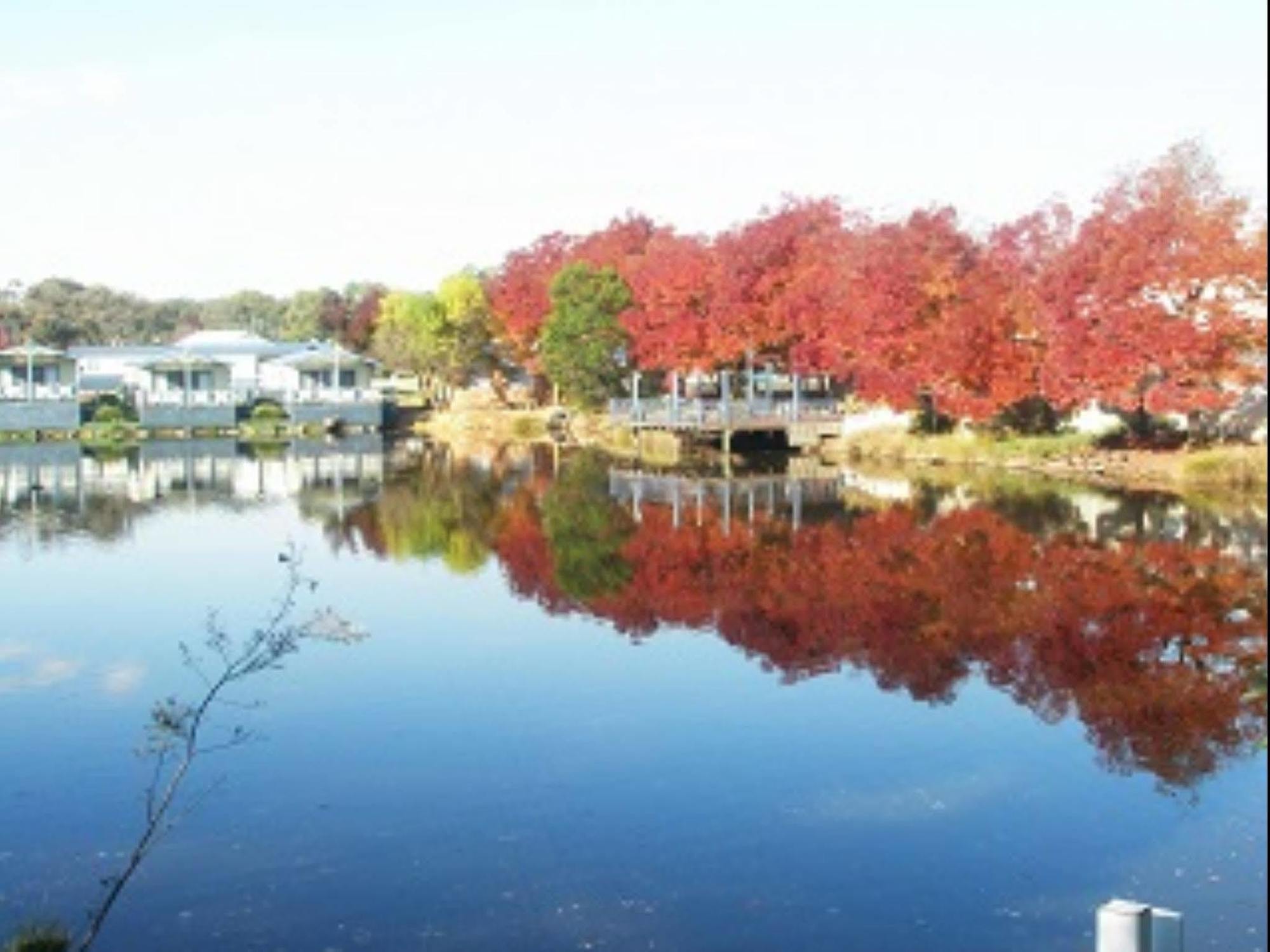 Capital Country Holiday Park Канберра Экстерьер фото